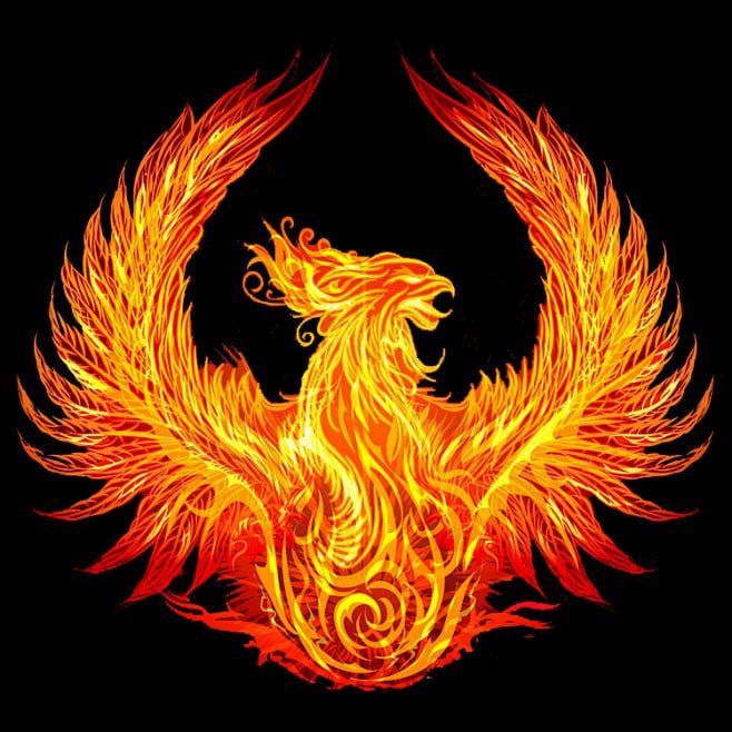 不死鸟20线程月卡 可24小时执行